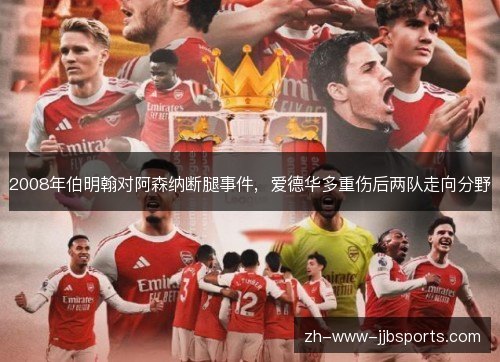 2008年伯明翰对阿森纳断腿事件,爱德华多重伤后两队走向分野 2008年伯明翰对阿森纳断腿事件,爱德华多重伤后两队走向分野